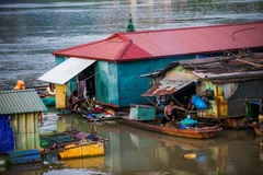 Cuộc sống sinh hoạt của những người dân làng vạn chài gắn chặt với dòng sông. (Ảnh: Trọng Đạt/TTXVN) 