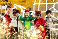 Noel này, không thể bỏ lỡ điểm "check-in" ấn tượng nhất miền Bắc