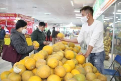 Hội chợ quy tụ nhiều mặt hàng nông đặc sản từ 20 tỉnh thành trong cả nước. (Nguồn: nongnghiep.vn)