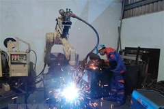 Ảnh minh họa. (Nguồn: TTXVN)