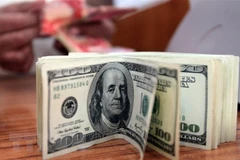 Ảnh minh họa. (Nguồn: AFP/TTXVN)