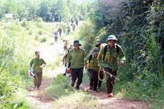 Ảnh minh họa. (Nguồn: TTXVN)