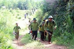 Ảnh minh họa. (Nguồn: TTXVN)