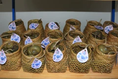 Sản phẩm ốc gác bếp được đựng trong những chiếc giỏ tre, trông khá ấn tượng. (Ảnh: Nhựt An/TTXVN) 