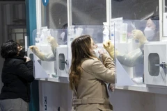 Nhân viên y tế lấy mẫu xét nghiệm COVID-19 cho người dân tại Seoul, Hàn Quốc ngày 16/2/2022. (Ảnh: THX/TTXVN)