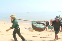 Ngư dân xã Quảng Xuân (huyện Quảng Trạch, Quảng Bình) trúng mùa cá cơm, thu lợi lớn. (Ảnh: TTXVN phát) 