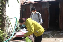 Triển khai chiến dịch diệt loăng quăng. (Ảnh: Lê Thúy Hằng/TTXVN)