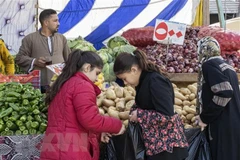 Ảnh minh họa. (Nguồn: AFP/TTXVN)
