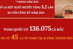[Infographics] Số ca sốt xuất huyết tăng 3,2 lần so cùng kỳ năm ngoái