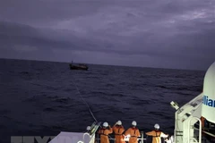 Ảnh minh họa. (Nguồn: TTXVN phát)