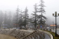 Nhiệt độ tại Sa Pa giảm còn 9,2 độ C. (Nguồn: TTXVN)