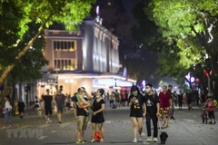 Quy định mới cấm hành vi mang vật nuôi, gia súc, gia cầm vào trong không gian đi bộ ở Hồ Hoàn Kiếm. (Nguồn: TTXVN)