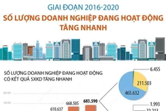 Giai đoạn 2016-2020: Số lượng doanh nghiệp đang hoạt động tăng nhanh