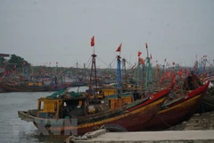 Ảnh minh họa. (Nguồn: TTXVN)