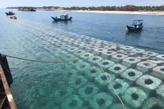 Các khối bêtông bên ngoài bề mặt một đoạn đê ngầm vừa thi công hoàn thành. (Ảnh: Đoàn Hữu Trung/TTXVN)