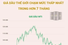 [Infographics] Giá dầu thế giới chạm mức thấp nhất trong hơn 7 tháng