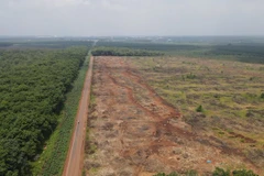 Khu đất thuộc dự án sân bay Long Thành. (Ảnh: TTXVN)