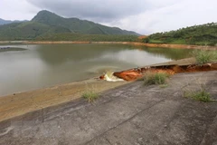 Ảnh minh họa. (Nguồn: TTXVN)