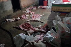 Tang vật vụ việc. (Ảnh: TTXVN phát)