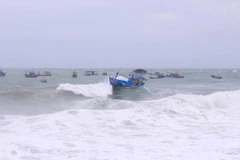Ảnh minh họa. (Nguồn: TTXVN phát)