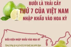 Bưởi là trái cây thứ 7 của Việt Nam nhập khẩu vào Hoa Kỳ