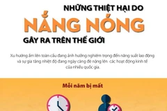 [Infographics] Những thiệt hại do nắng nóng gây ra trên thế giới