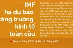 [Infographics] IMF hạ dự báo tăng trưởng kinh tế toàn cầu