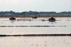 Ảnh minh họa. (Nguồn: TTXVN)