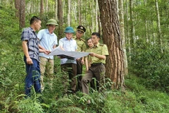  Lực lượng Kiểm lâm phối hợp với Quỹ bảo vệ và phát triển rừng tỉnh Yên Bái kiểm tra, phân loại và xác định mốc giới 3 loại rừng tại Khu bảo tồn Nà Hẩu, huyện Văn Yên, Yên Bái. (Ảnh: Tiến Khánh/TTXVN)