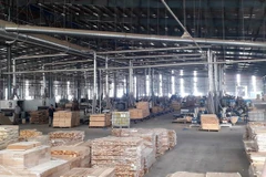 Sản xuất đồ gỗ tại Công ty TNHH MTV Triệu Phú Lộc, thị xã Tân Uyên, Bình Dương. (Ảnh: Chí Tưởng/TTXVN) 