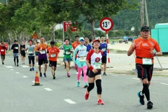 Các vận động viên tranh tài trên đường chạy Marathon Quốc tế Đà Nẵng 2019. Ảnh minh họa. (Ảnh: Trần Lê Lâm/TTXVN)