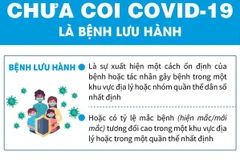 [Infographics] Bộ Y tế chưa coi COVID-19 là bệnh lưu hành