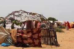 Hàng chục nghìn người dân Somalia phải sơ tán vì hạn hán nghiêm trọng. (Nguồn: nrc.no) 