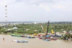 Ảnh minh họa. (Nguồn: TTXVN)