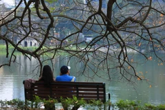 Vẻ lãng mạn của Hồ Gươm mùa lộc vừng thay lá. (Ảnh: Hoàng Hiếu/TTXVN) 