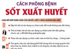 [Infographics] Những phương pháp phòng bệnh sốt xuất huyết