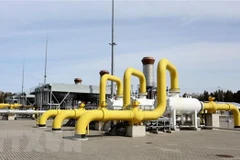 Ảnh minh họa. (Nguồn: AFP/TTXVN)