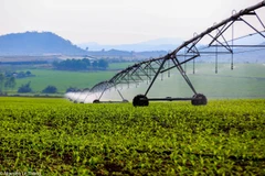 Những cánh đồng mênh mông của TH với những dàn máy tưới, thu hoạch hiện đại. (Nguồn: Vietnam+)