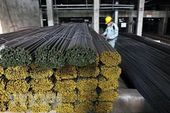 Ảnh minh họa. (Nguồn:TTXVN) 