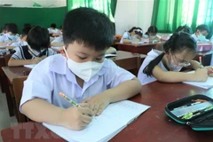 Ảnh minh họa. (Nguồn: TTXVN) 