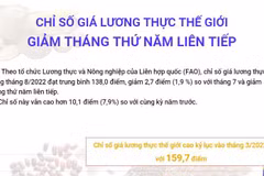 Chỉ số giá lương thực thế giới giảm tháng thứ năm liên tiếp