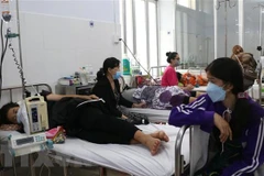 Bệnh nhân mắc sốt xuất huyết. (Ảnh: Tuấn Kiệt/TTXVN)