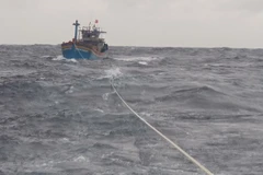 Ảnh minh họa. (Nguồn: TTXVN phát)