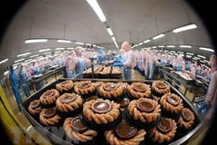 Dây chuyền chế biến tôm đông lạnh xuất khẩu của Công ty Cổ phần thủy sản Minh Phú Hậu Giang. (Ảnh: Vũ Sinh/TTXVN) 