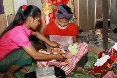 Cô đỡ thôn bản huyện Minh Hóa (Quảng Bình) chăm sóc sức khoẻ sinh sản cho đồng bào dân tộc. (Ảnh: Dương Ngọc/TTXVN) 
