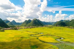 Vẻ đẹp rực rỡ như bức tranh bích họa ở thung lũng Bắc Sơn là điểm nhấn thu hút đông đảo du khách và các nhiếp ảnh gia. (Ảnh: Anh Tuấn/TTXVN) 