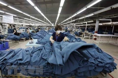 May hàng xuất khẩu tại Công ty may Hồ Gươm (Hưng Yên). (Ảnh: Trần Việt/TTXVN)