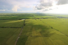 Đồng bằng sông Cửu Long hướng tới nền kinh tế nông nghiệp bền vững