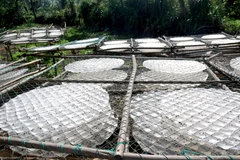 Bánh tráng được phơi khô. (Ảnh: Nguyễn Thanh/TTXVN)