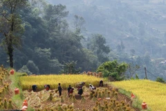 Người Cờ Lao đỏ sinh sống ở những bản làng bên sườn dãy Tây Côn Lĩnh (Hà Giang). (Ảnh: Nam Thái/TTXVN)